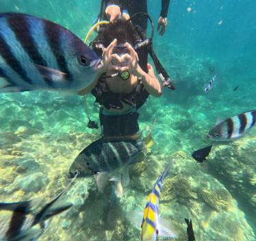CHAM ISLAND DAILY TOUR